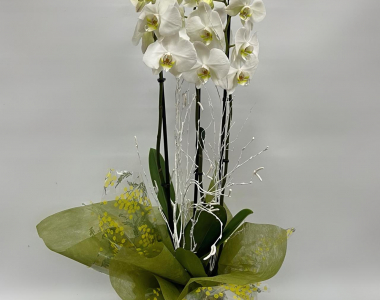 Floristería online y física en Zaragoza | Floristería LE